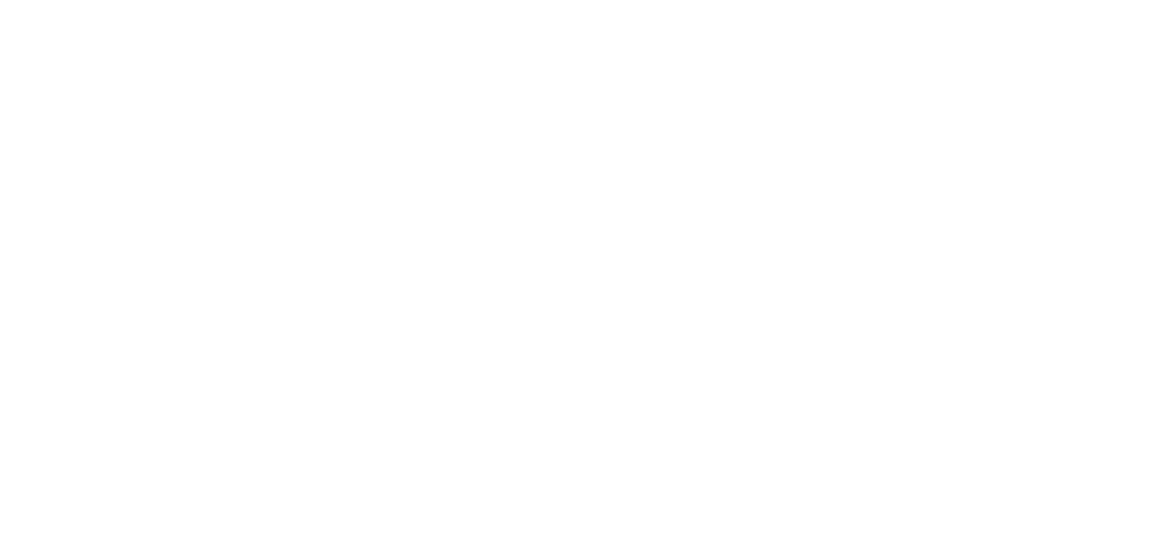Logo White